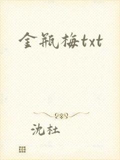 金瓶梅txt封面