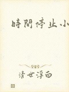 时间停止小说