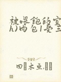 被喂饱的室友(h)肉包1受三攻封面