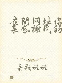 夜间网址你会回来感谢我的