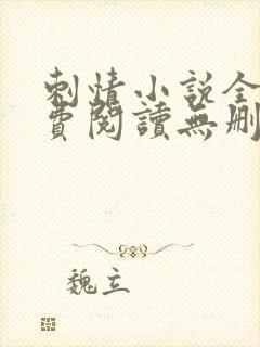 刺情小说全文免费阅读无删减封面