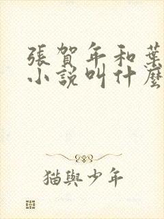 张贺年和叶繁姿小说叫什么名字封面