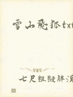 雪山飞狐txt