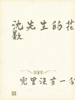 沈先生的花式调数