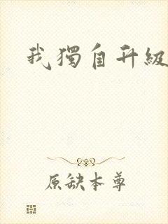 我独自升级漫画