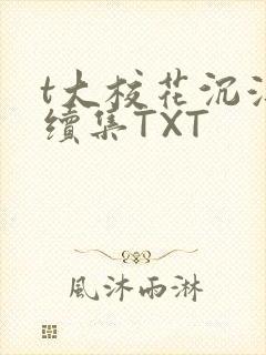 t大校花沉浮录续集TXT