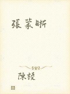 张蒙晰封面