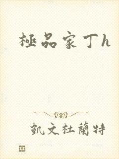极品家丁h封面