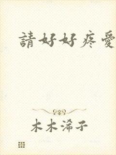 请好好疼爱里面