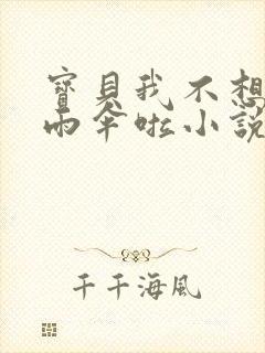 宝贝我不想带小雨伞啦小说