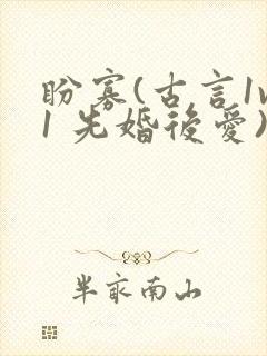 盼寡(古言1v1 先婚后爱)荔枝好多