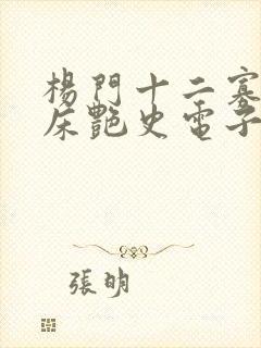 杨门十二寡妇肉床艳史电子书