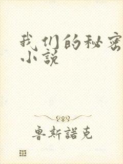 我们的秘密泰剧小说封面