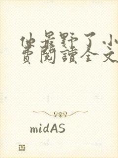 他最野了小说免费阅读全文封面