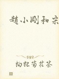 赵小刚和宋雨晴