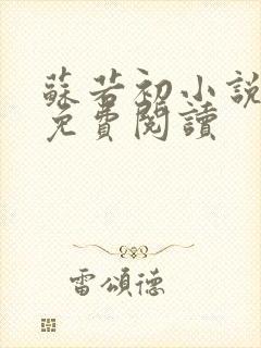 苏若初小说全文免费阅读