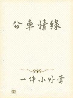 公车情缘封面