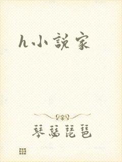 h小说家