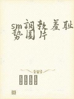 sm调教羞耻姿势图片