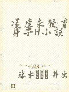 凌虐未发育的小身子H小说