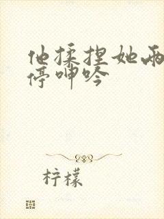 他揉捏她两乳不停呻吟封面