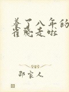 养了八年的金丝雀飞走啦