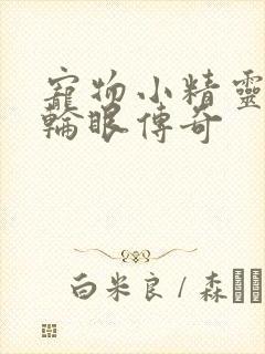 宠物小精灵之写轮眼传奇
