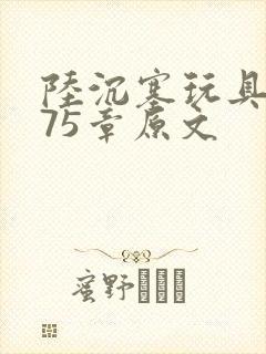 陆沉塞玩具高速75章原文
