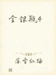 金银瓶4封面