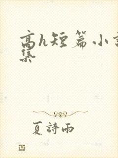 高h短篇小说合集封面