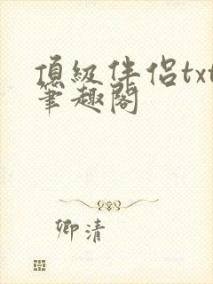 顶级伴侣txt笔趣阁