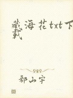 藏海花txt下载封面