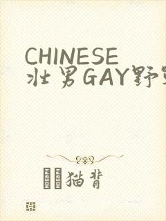 CHINESE壮男GAY野战强迫TUBE