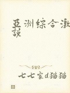 亚洲综合激情小说封面