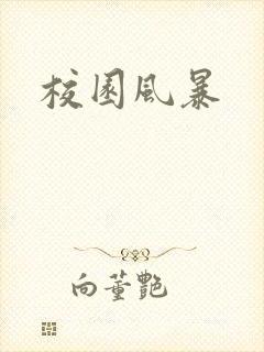 校园风暴