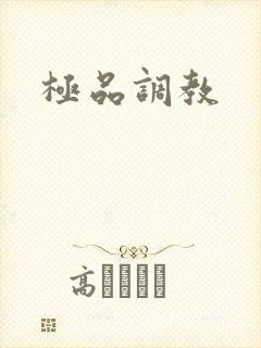 极品调教