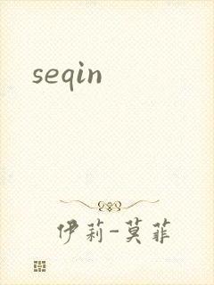 seqin封面