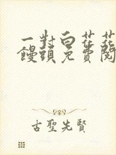 一对白花花的大馒头免费阅读