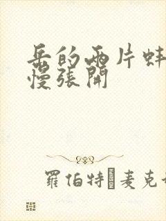 岳的两片蚌肉慢慢张开