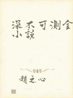 深不可测金银花小说