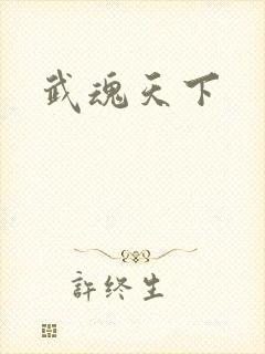 武魂天下封面