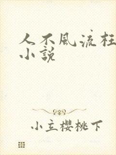 人不风流枉少年小说