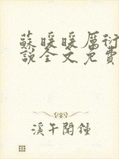 苏暖暖厉衍琛小说全文免费阅读