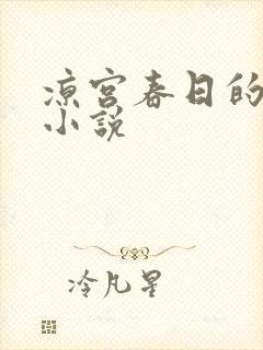 凉宫春日的忧郁小说封面