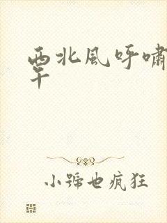 西北风呼啸的中午