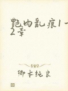 艳肉乱痕1一12章