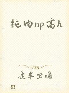 纯肉np高h