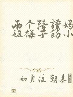 两个陪读妈妈赵姐梅子的小说