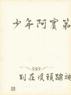 少年阿宾第二部