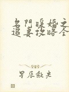 名门暖婚之权爷追妻攻略全文免费阅读